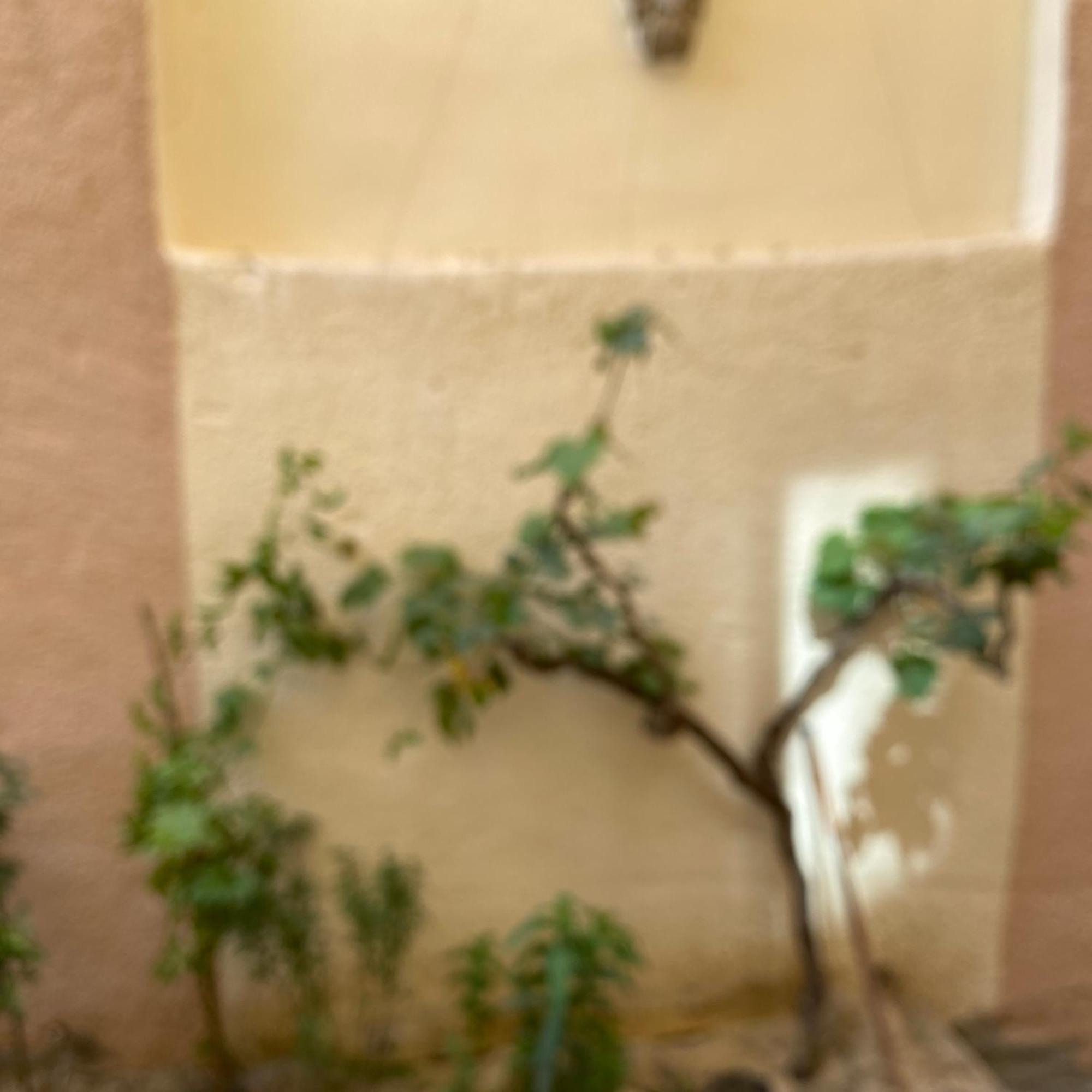Appartamento Near Airport Il Cairo